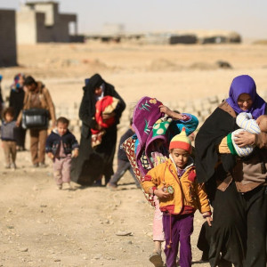 Season 35 Episode 11