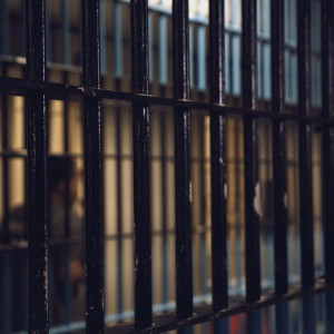 Season 35 Episode 14