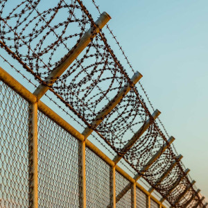 Season 35 Episode 18