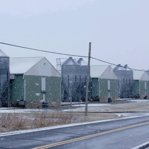 Season 36 Episode 12