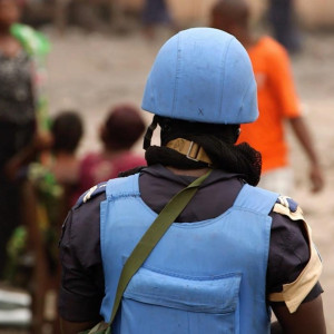 Season 36 Episode 15