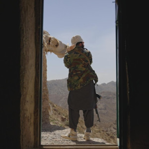 Season 40 Episode 15