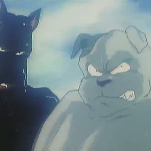 Season 1 Episode 145