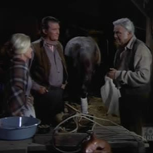 Season 13 Episode 17 Season 13 Episode 17