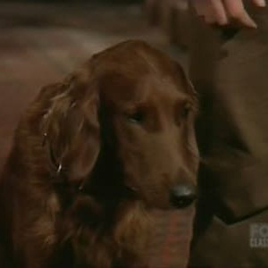 Season 14 Episode 12
