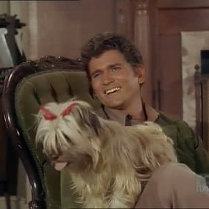 Season 9 Episode 34 Season 9 Episode 34