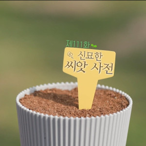 Season 1 Episode 111