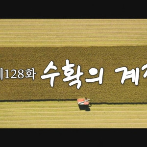 Season 1 Episode 128