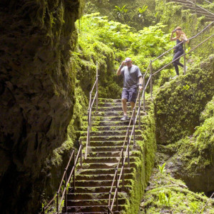 Season 35 Episode 10