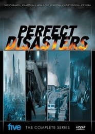 Perfect Disaster