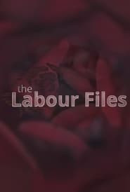The Labour Files