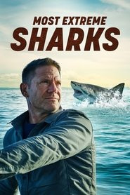 Most Extreme Sharks with Steve Backshall