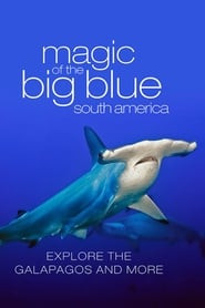 The Magic of the Big Blue