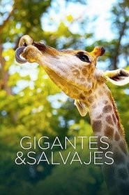Gigantes y salvajes