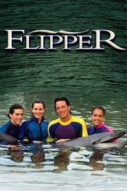 Flipper