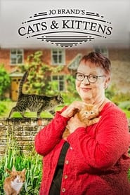 Jo Brand's Cats & Kittens