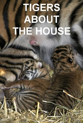 Tigers About the House