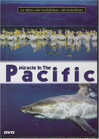 Miracle in the Pacific