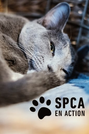 SPCA en action