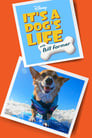 It's a Dog's Life with Bill Farmer