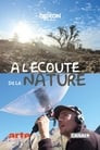 À l’écoute de la Nature