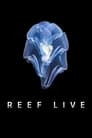 Reef Live