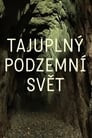 Tajuplný podzemní svět