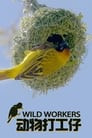 Wild Workers