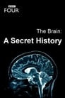 The Brain: A Secret History