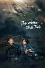 The White Olive Tree