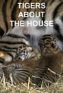 Tigers About the House