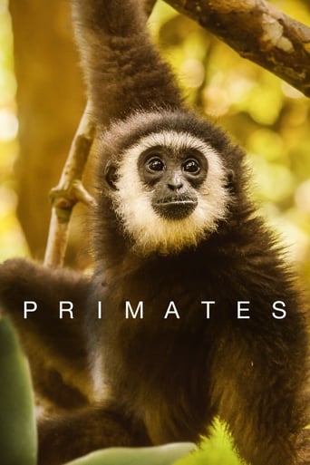 Primates Season 1