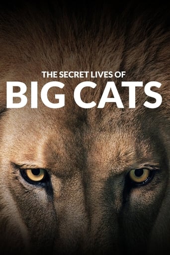 The Secret Lives Of Big Cats Season 1