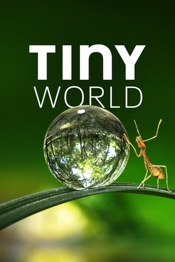 Tiny World Season 1