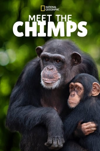 Meet the Chimps Season 1