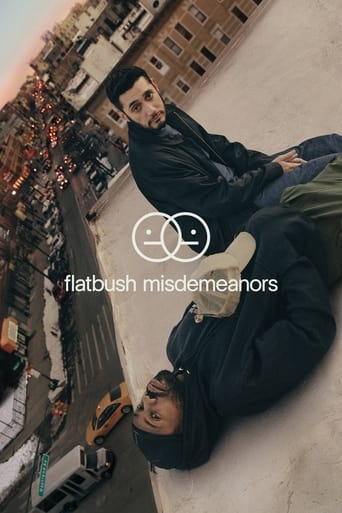 Flatbush Misdemeanors Season 1