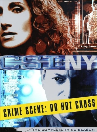 CSI: NY Season 3