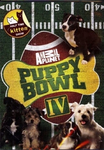 Puppy Bowl Season 4