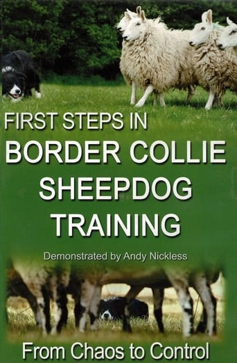 First Step in Border Collie sheepdog Training Season 1
