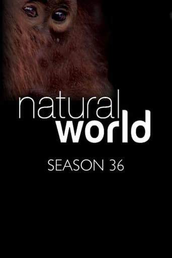 Natural World Season 36