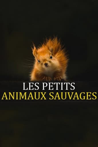 Les Petits Animaux Sauvages Season 1