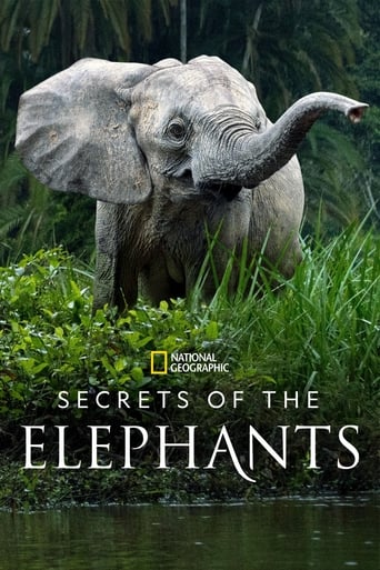 Secrets of the Elephants Season 1