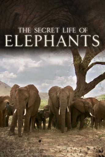 The Secret Life of Elephants Season 1