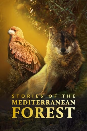 Stories of the Mediterranean Forest Season 1