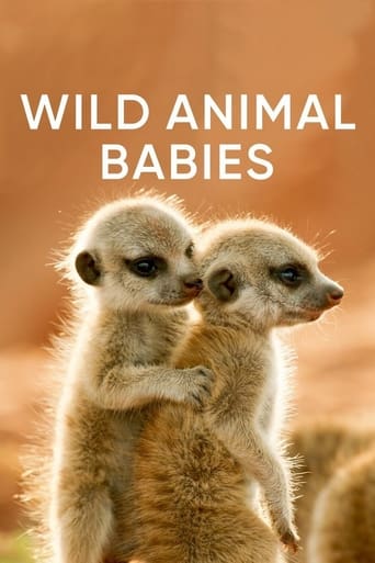 Wild Animals Babies Season 1