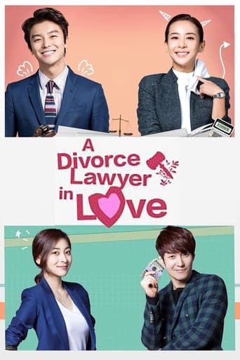 Divorce Lawyer in Love Season 1