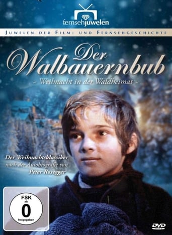 Waldheimat Season 3