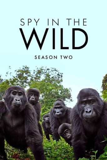 Spy in the Wild Season 2