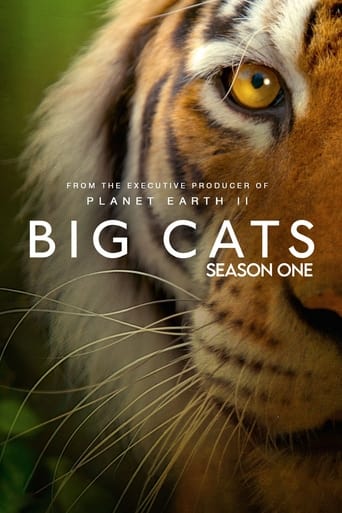 Big Cats Season 1