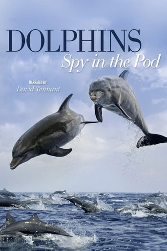 Dolphins: Spy in the Pod Season 1